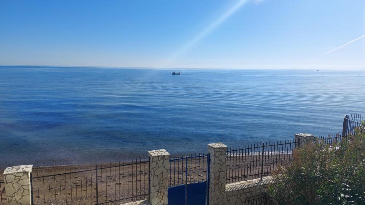 Blue Life, Sea-Luxury Rooms On The Beach Between Palermo And Cefalu' Casteldaccia Extérieur photo